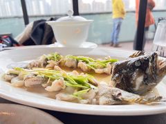 清蒸老虎斑-三利音·东方司宴(外滩店)