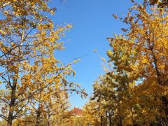 -西海子公园