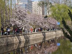 -海棠花溪(元大都城垣遗址公园)