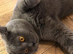 -Me Coffee下午茶艺术空间