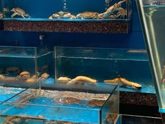 水产区-海皇世家·私宴定制·鲜送到家(诸暨店)