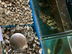 水产区-前王院•巧克力海鲜市集餐厅(万平口店)