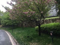 -佛罗伦萨西餐厅(良渚君澜度假酒店)