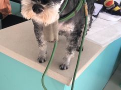 -宏光宠物医院(解放东路店)