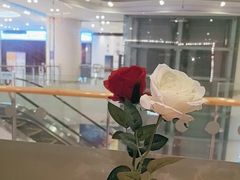 -炭舍干锅·烤鱼(扬名广场店)