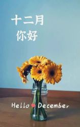 点击看大图 -芳香乐府SPA·五行芳疗