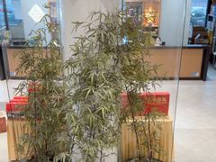 -绿杨春·淮扬宴(庐山路店)
