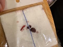 -宠物家(双井店)