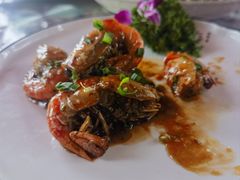 -陶缘一号·四季缘·老字号顺德菜·户外婚礼家宴(西滘店)
