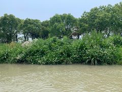-韩湘水博园