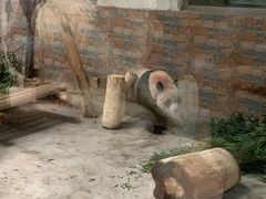 -青岛动物园