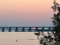 -宝安西湾红树林湿地公园