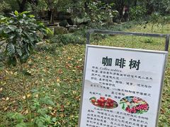 -海口火山口国家地质公园