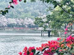 -星湖旅游景区七星岩