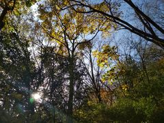 -牛背梁国家森林公园