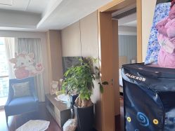 -和伊母婴护理中心·全套房(金山店)