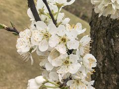 -中国天府农业博览园