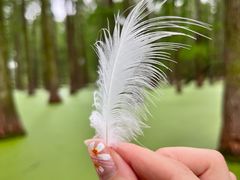 -渌洋湖湿地公园