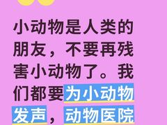 -美联众合动物医院·24h转诊中心