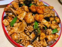 八珍豆腐-大眼锅贴水饺(河东店)