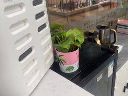 -镁连社·美联社