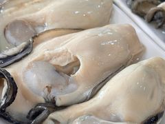 -濠轩阁特色生蚝火锅(水湾路店)