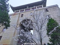 -武汉大学-樱园