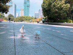 -人民广场