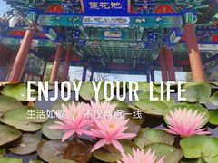 -莲花池公园