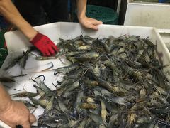 -海峡水产品交易中心(海鲜交易区)