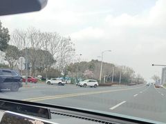 -九里河湿地公园