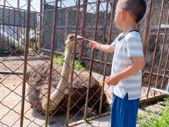 -河北村民俗体验园