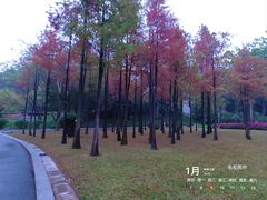 -晓港公园