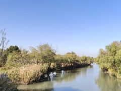 -长兴太湖图影湿地文化园