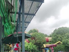 -苏州乐园森林水世界
