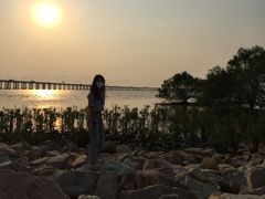 -宝安西湾红树林湿地公园