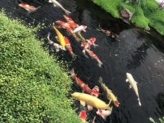 -罗红摄影艺术馆