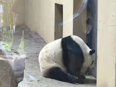 -宁波野生动物园