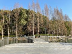 -金鸡湖桃花岛
