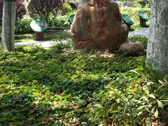 -东莞植物园