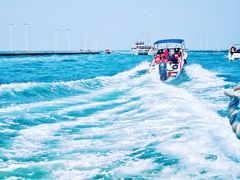 -日照世帆赛基地