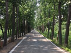 -微山湖红荷湿地景区