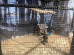 -酷嗒动物文化乐园(cutezoo西溪乐天城店)