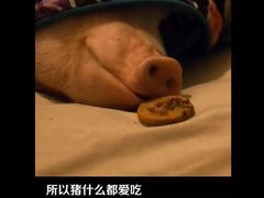 -火鬼 PYRO(五道口店)