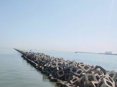 -东疆理想海岸沙滩景区