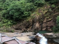 -广州白江湖森林公园