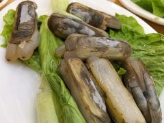 -金砂阿洲鱼册店