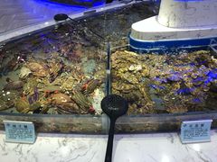 -澜悦港海鲜体验主题餐厅