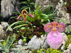 -国家植物园南园