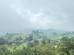 -大姆山草场